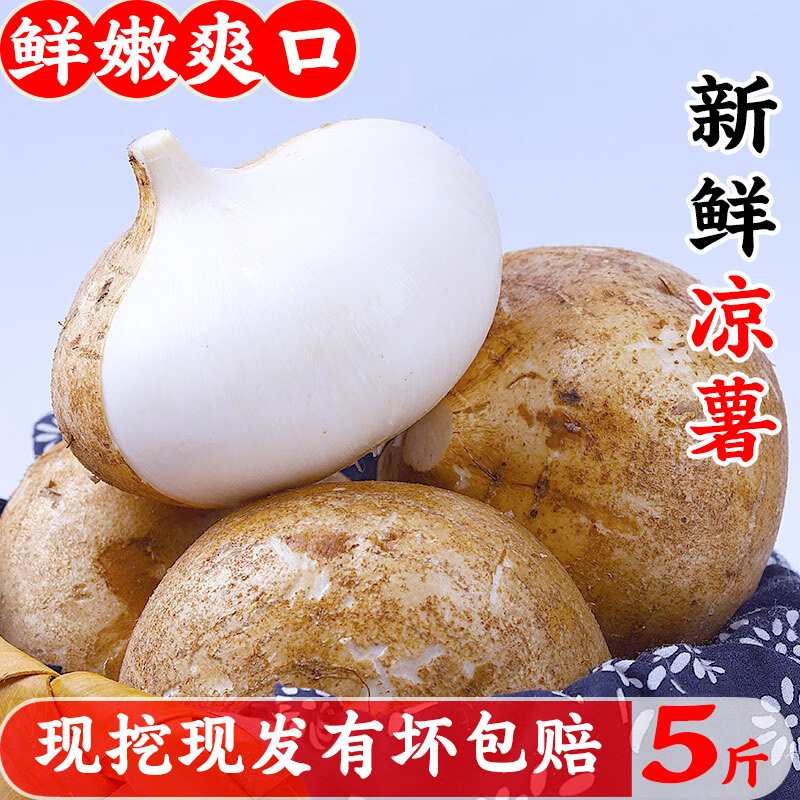 新鲜凉薯新鲜蔬菜广西领券下单