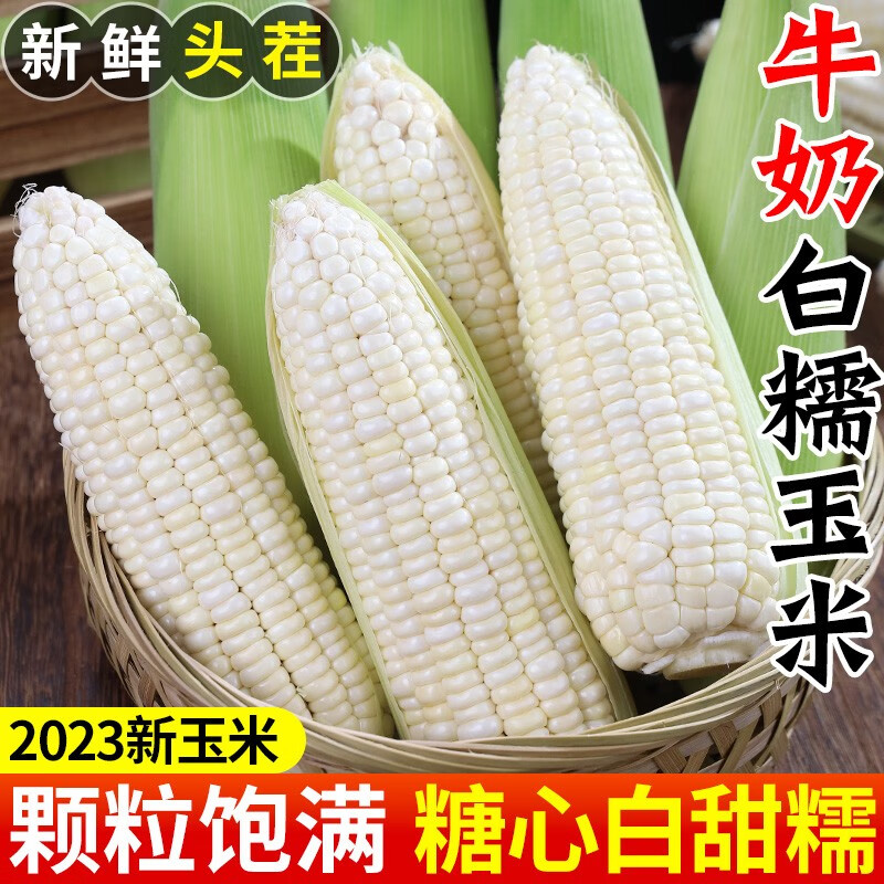白糯玉米新鲜棒子领券下单蔬菜