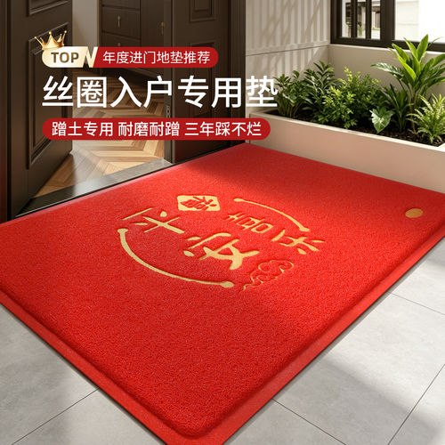 入户门地垫2026新款大门口家用耐脏脚垫除尘进门地毯室外防滑门垫