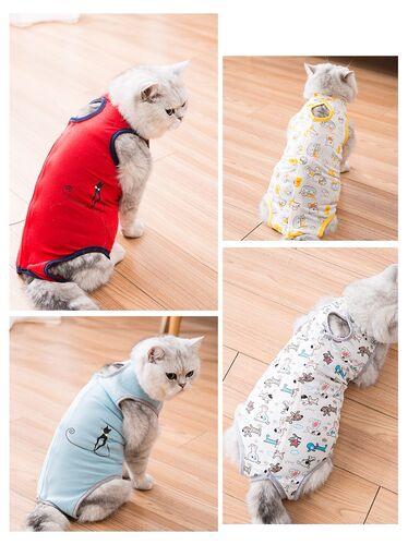 公猫绝育衣服价格 公猫绝育衣服图片 星期三