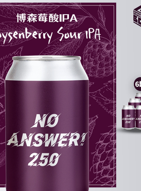 梦想酿造 no answer！250 博森莓酸IPA国产精酿啤酒330ml*6罐果泥