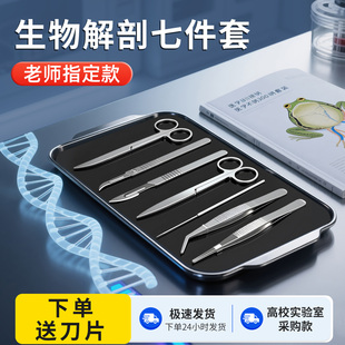 生物解剖器7件七件套不锈钢昆虫标本制作工具解剖针探针剪医学生物实验室用品器材套装刀片骨骼标本教学仪器