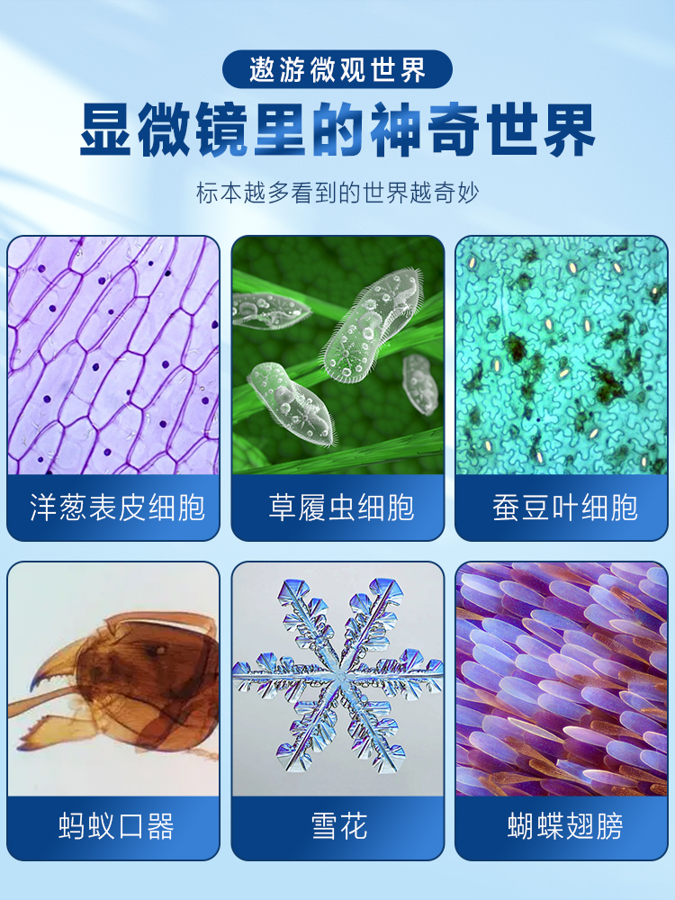 光学显微镜专业级中小学生专用儿童科学实验可看细菌初中款台式高