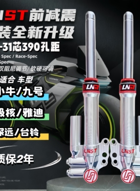 LNST前减震30芯小牛NXT九号M85C深远E9极核AE4电动车改装前避震31