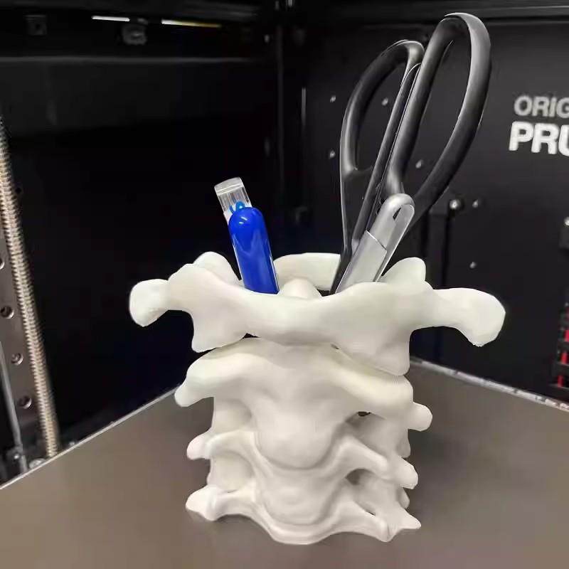 3D打印脊柱笔筒桌面摆件文具收纳送医生老师护士礼物益智收纳用,收纳整理,笔筒,淘宝优惠券,粉丝福利购,淘宝优惠卷