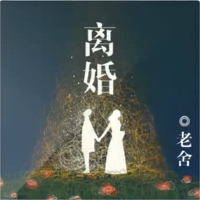 【天猫精灵有声内容，非实体书】喜马拉雅精选内容，《离婚》背叛‖冷暴力‖现实婚姻中的妥协与苟且