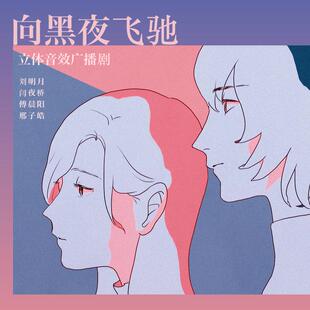 索尼立体音效广播剧《向黑夜飞驰》 非实体书 网易云播客精选内容 【天猫精灵有声内容】