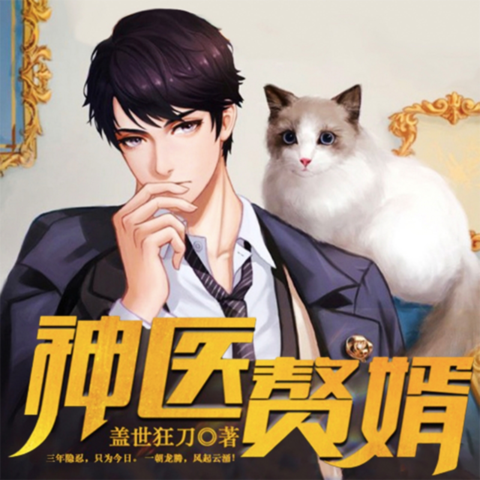 神医赘婿之赘婿上门 非实体书  【天猫精灵有声内容】