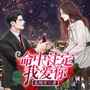 命中注定我爱你 非实体书 【天猫精灵有声内容】