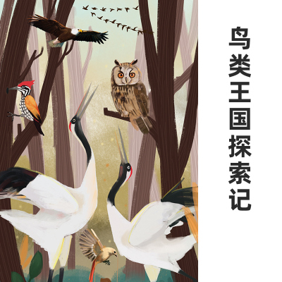 鸟类学家给孩子的鸟类王国探索记 非实体书 蜻蜓精选内容 【天猫精灵有声内容】