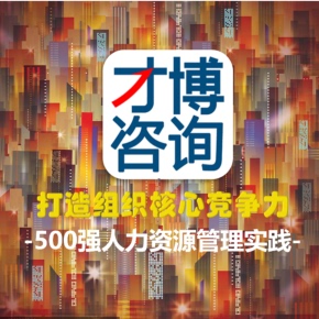 【天猫精灵有声内容，非实体书】喜马拉雅精选内容，打造组织核心竞争力|500强人力资源管理实践