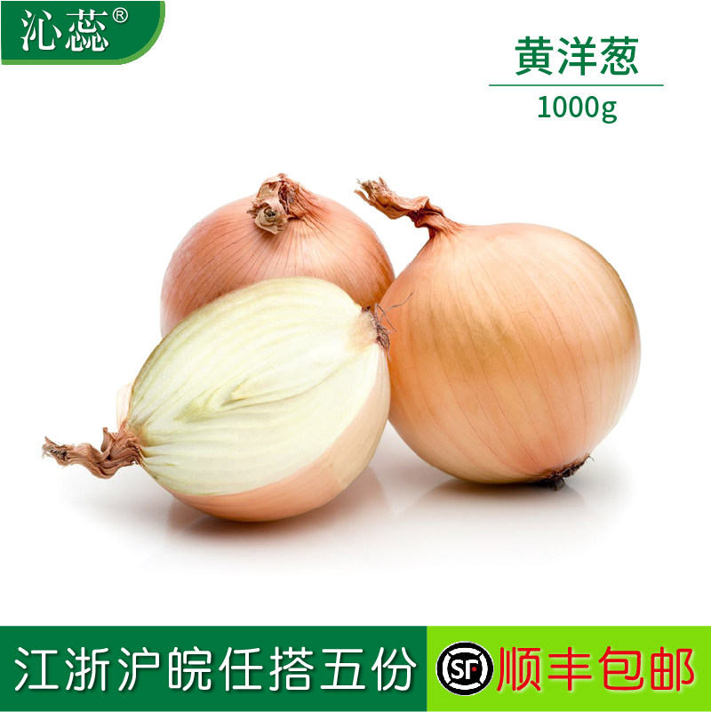 【沁蕊】新鲜蔬菜黄洋葱  白洋葱 2斤装 沙拉黄洋葱 1000g