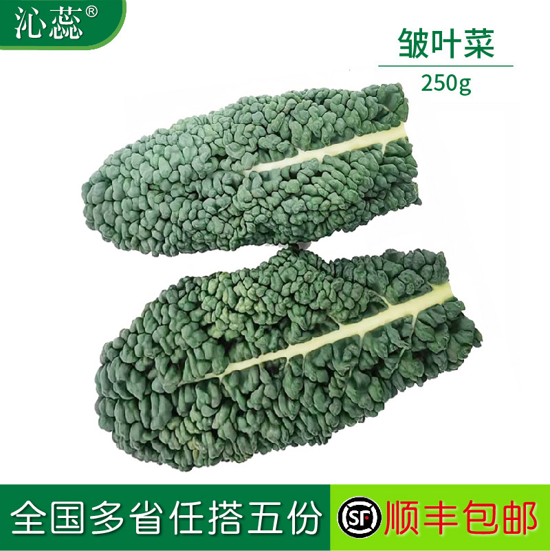 皱叶甘蓝新鲜蔬菜皱叶菜皱皮菜黑宝石羽衣甘蓝 生吃榨汁大叶片
