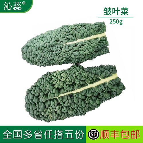 皱叶甘蓝新鲜蔬菜皱叶菜皱皮菜黑宝石羽衣甘蓝 生吃榨汁大叶片