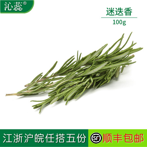 【沁蕊】新鲜迷迭香新鲜蔬菜香草