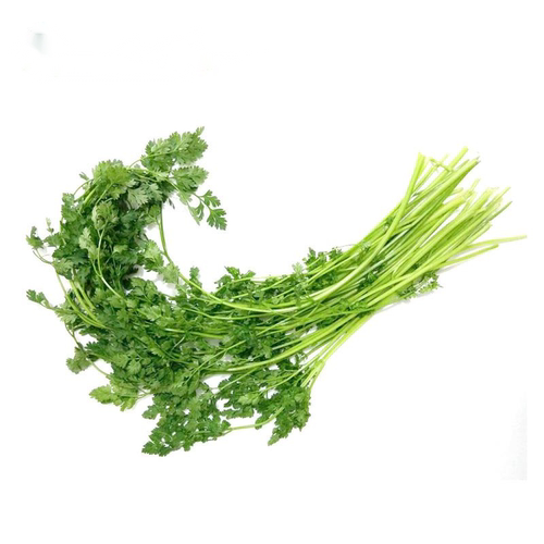 【沁蕊】西餐香料 细叶芹  雪维菜 有喙欧芹 新鲜香料  100g