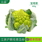 宝塔菜600克左右 罗马花椰菜 新鲜蔬菜 带叶子罗马花菜 沁蕊