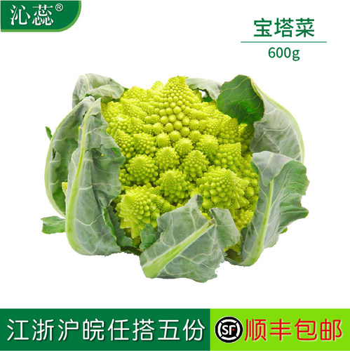 【沁蕊】新鲜蔬菜罗马宝塔菜花菜
