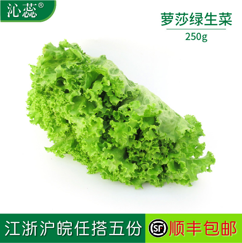 【沁蕊】新鲜花叶生菜250g绿萝莎散叶西餐沙拉罗莎绿生菜,水产肉类/新鲜蔬果/熟食,其它,淘宝优惠券,粉丝福利购,淘宝优惠卷