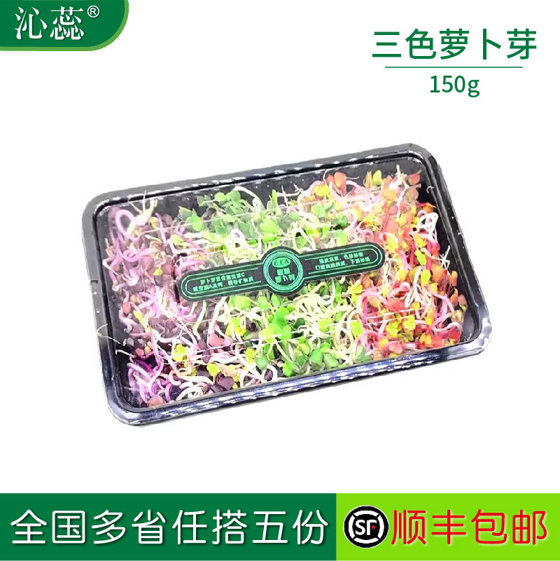 【沁蕊】新鲜三色萝卜芽七彩