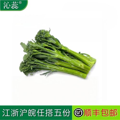 新鲜西兰花苔芦笋宁夏