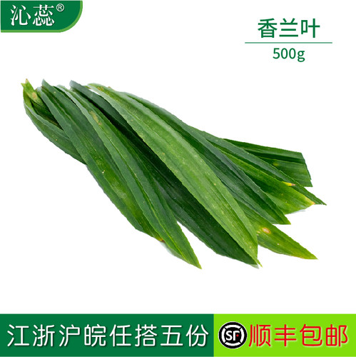 【沁蕊】香兰叶新鲜甲斑斓叶500g
