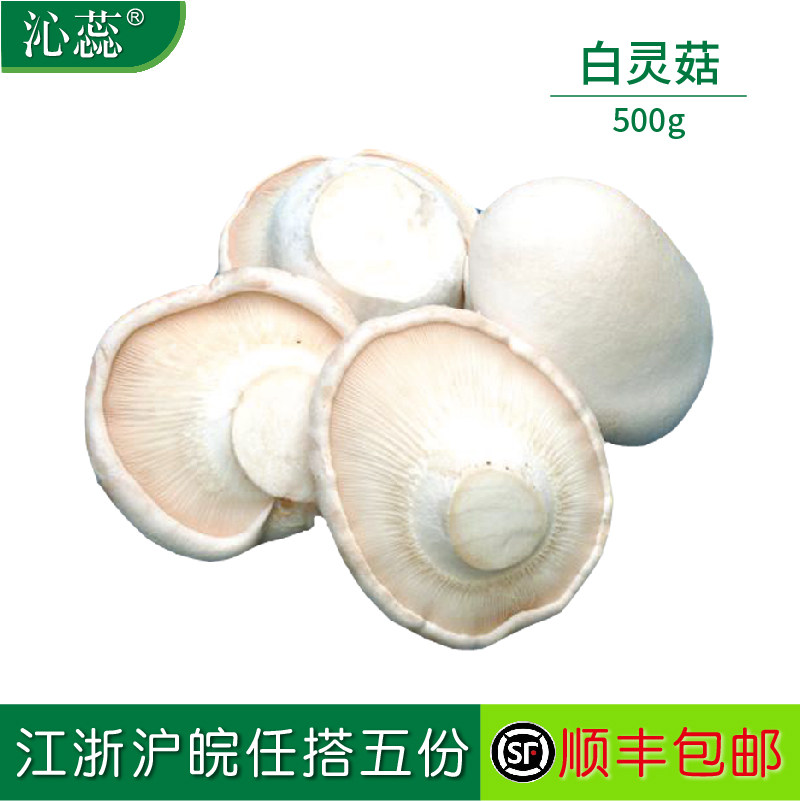 【沁蕊】新鲜菌菇 新鲜白灵菇 500g