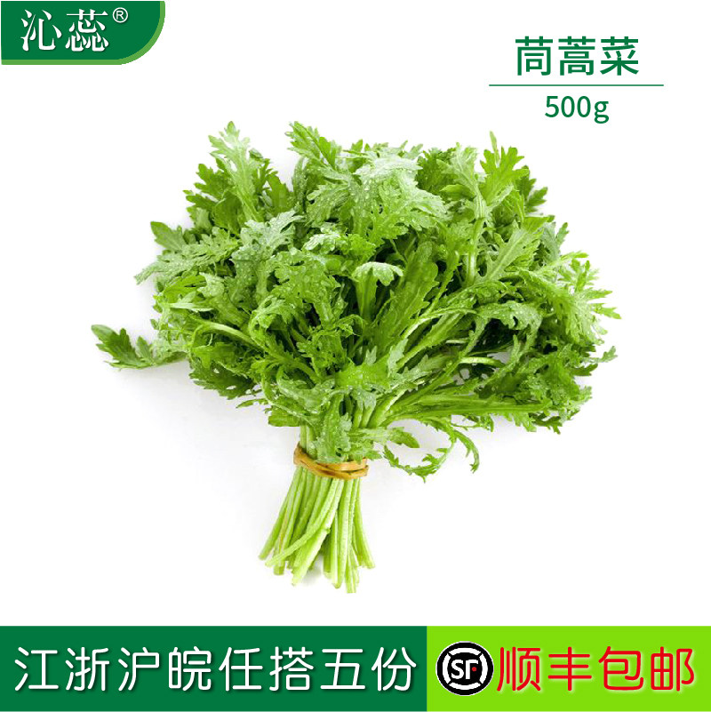 【沁蕊】新鲜蓬蒿菜500g 皇帝菜茼蒿菜