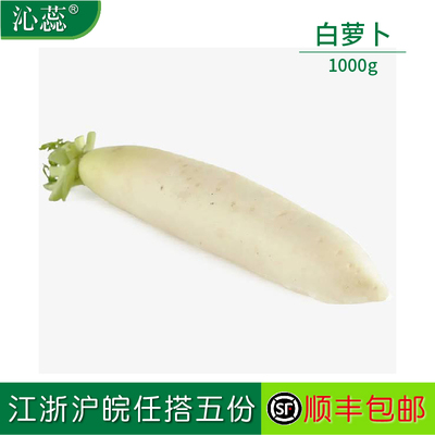 【沁蕊】新鲜白萝卜长斤装1000g