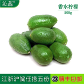 奶茶店香水柠檬茶饮 海南香水青柠檬500g新鲜青柠檬 沁蕊