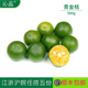 沁蕊 青金桔柠檬 新鲜海南小金桔 500g 小金橘 小青桔 小青柠