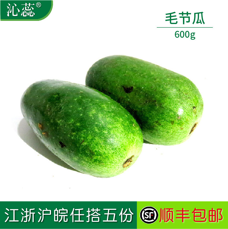 【沁蕊】新鲜迷你小冬瓜 小节瓜600g 毛冬瓜 节瓜