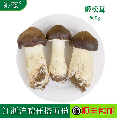 沁蕊松茸新鲜500g巴西菇