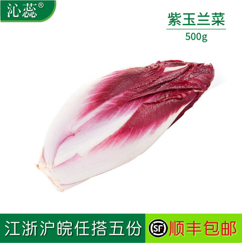 新鲜紫玉兰菜500g 红玉兰芽球菊苣蔬菜chicory比利时沙拉西餐食材
