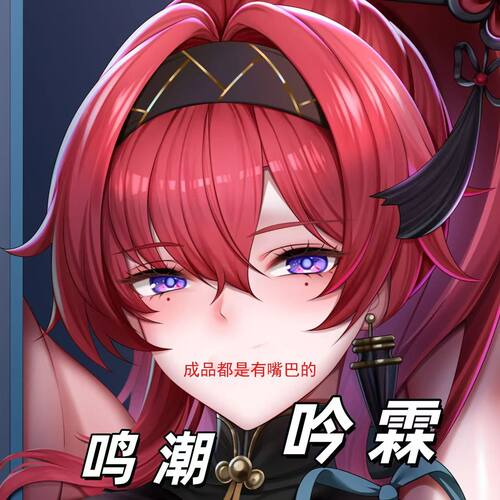 鸣潮吟霖二次元周边双面