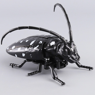 爬行天牛玩具模型仿真动物上链条行走甲壳虫水牛发条昆虫世界儿童