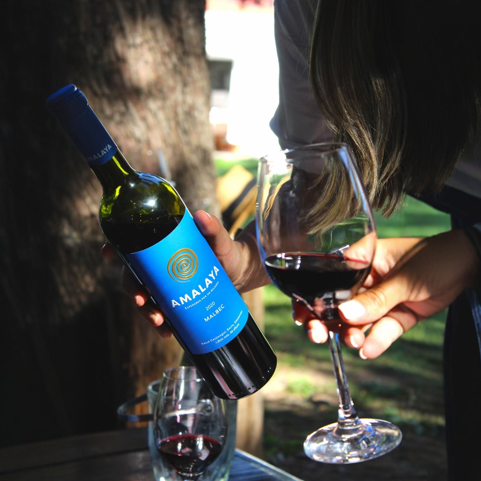 阿根廷Almalaya阿玛拉雅马尔贝克干红葡萄酒2020/1年份随机750ml