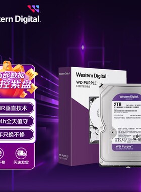 WD/西部数据 WD23PURZ 监控硬盘 紫盘台式机械硬盘 2TB