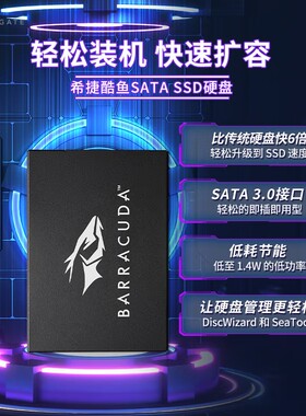 希捷(seagate) SSD固态硬盘SATA3.0接口 台式机笔记本读速540MB/s