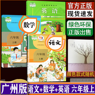 数学广州教科版 英语课本教材教科书3本套装 购笔记本送课本 广州专用版 正版 上册期部编人教版 六6年级人教版 语文人教版 dxxd