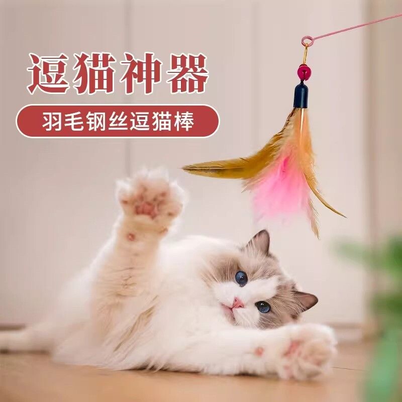 逗猫棒替换头耐咬羽毛带铃铛猫咪玩具套装宠物用品幼猫解闷通用型