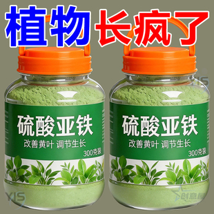 硫酸亚铁正牌正品 酸性土壤通用型养花防黄叶植物果树铁树水溶补铁