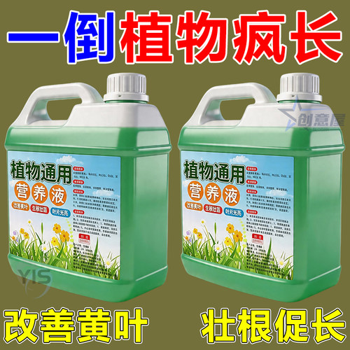 植物通用营养液水培土培促绿开花