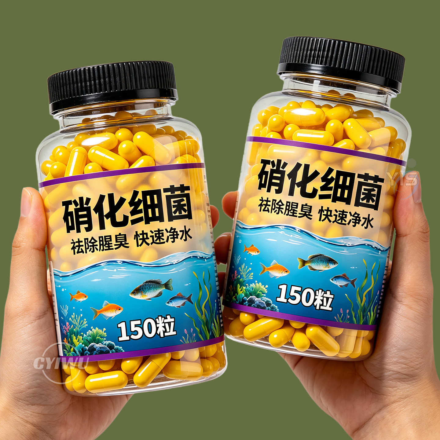 鱼缸硝化细菌胶囊净水剂