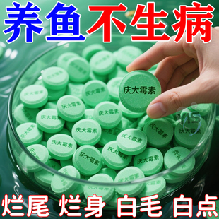 庆大霉素鱼病专用药烂身烂尾白点白毛掉磷蒙眼杀菌消炎康复消毒药