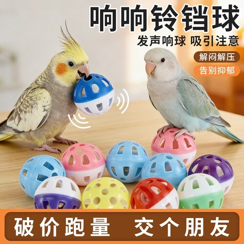 虎皮鹦鹉解闷自嗨啃咬牡丹玄凤鹦鹉发声解压逗鸟益智玩具球小太阳