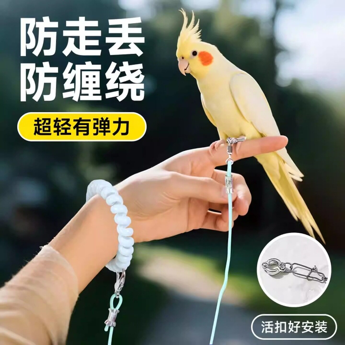 鹦鹉外出绳子放飞绳不伤脚超轻训练虎皮玄凤牡丹脚环脚链脖套遛鸟