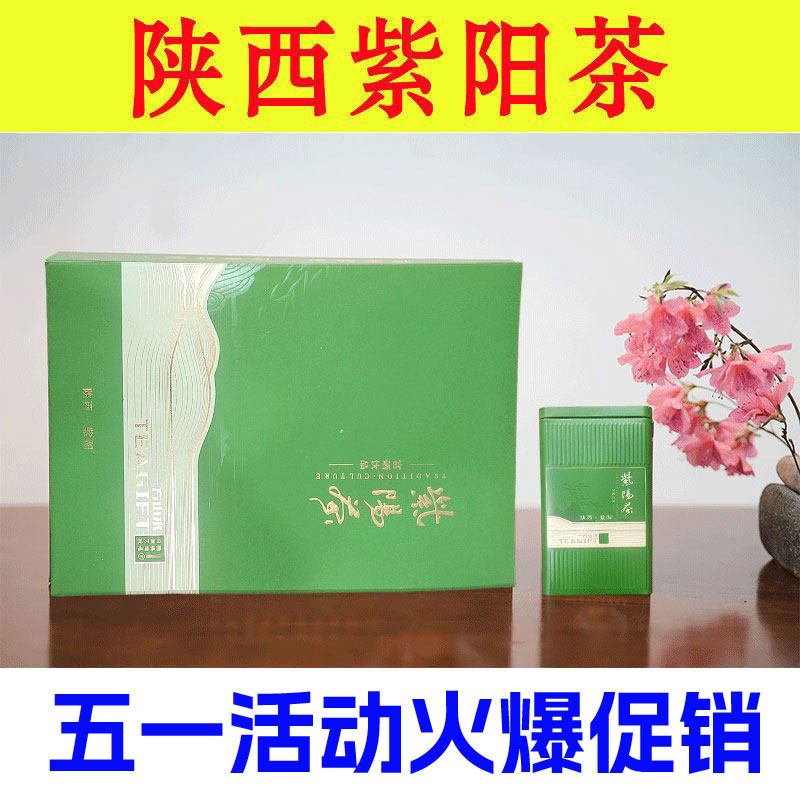2026新茶紫阳银针抽芯茶绿茶叶茶浓香型日照充足高山云雾头春嫩芽