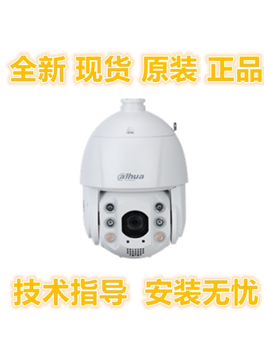 大华32倍融智能球机400W