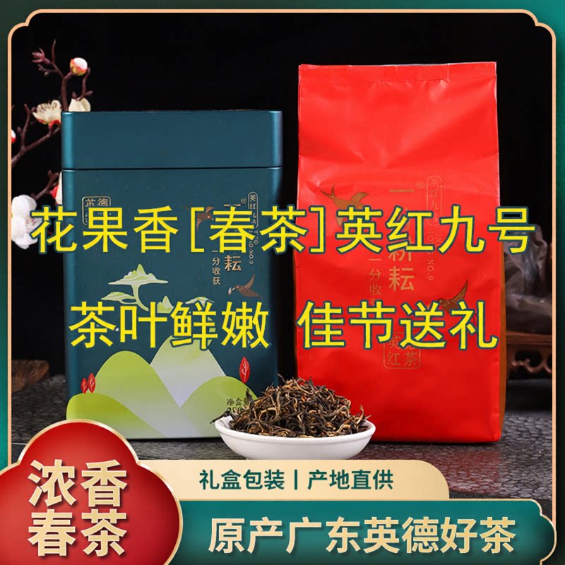 英德红茶英红九号明前三月花果香春茶礼盒装浓香耐泡爽口茶叶罐装